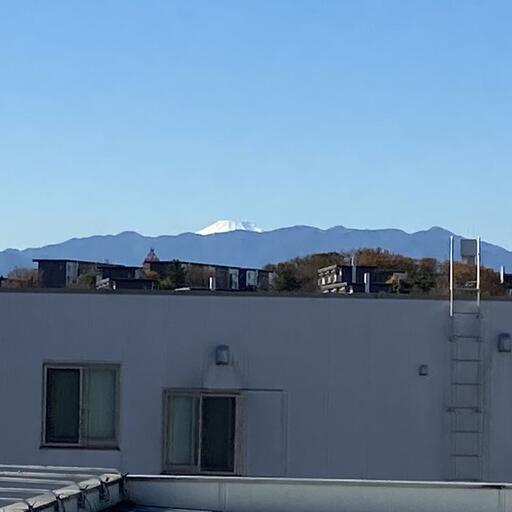 富士山が見えます