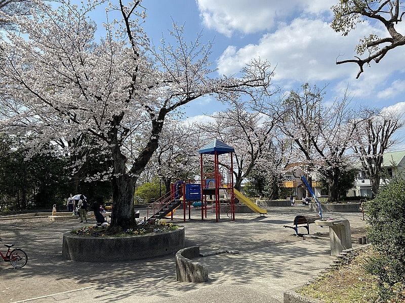 2023年／たまプラーザの桜・美しが丘の桜・山内公園の桜