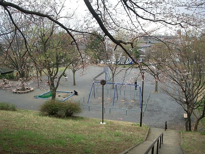 たまプラーザの新石川公園・新石川2-25 （たまプラーザ駅　南口方面） 桜の様子です。