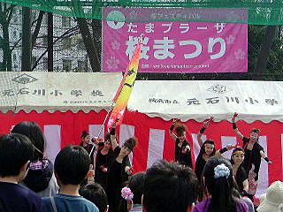 2010年たまプラーザの桜まつり（たまプラーザ桜フェスティバル）