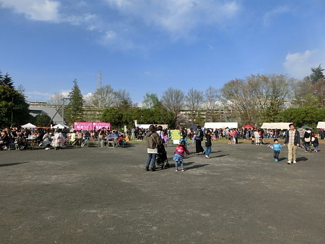 2014年たまプラーザの桜まつり（たまプラーザ桜フェスティバル）