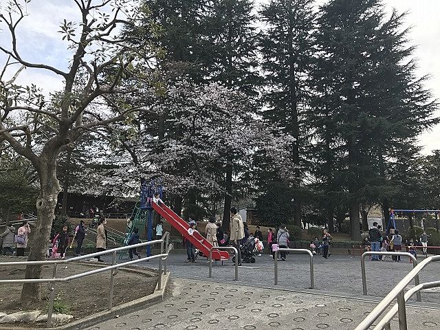 2017年 たまプラーザの桜まつり（たまプラーザ桜フェスティバル）