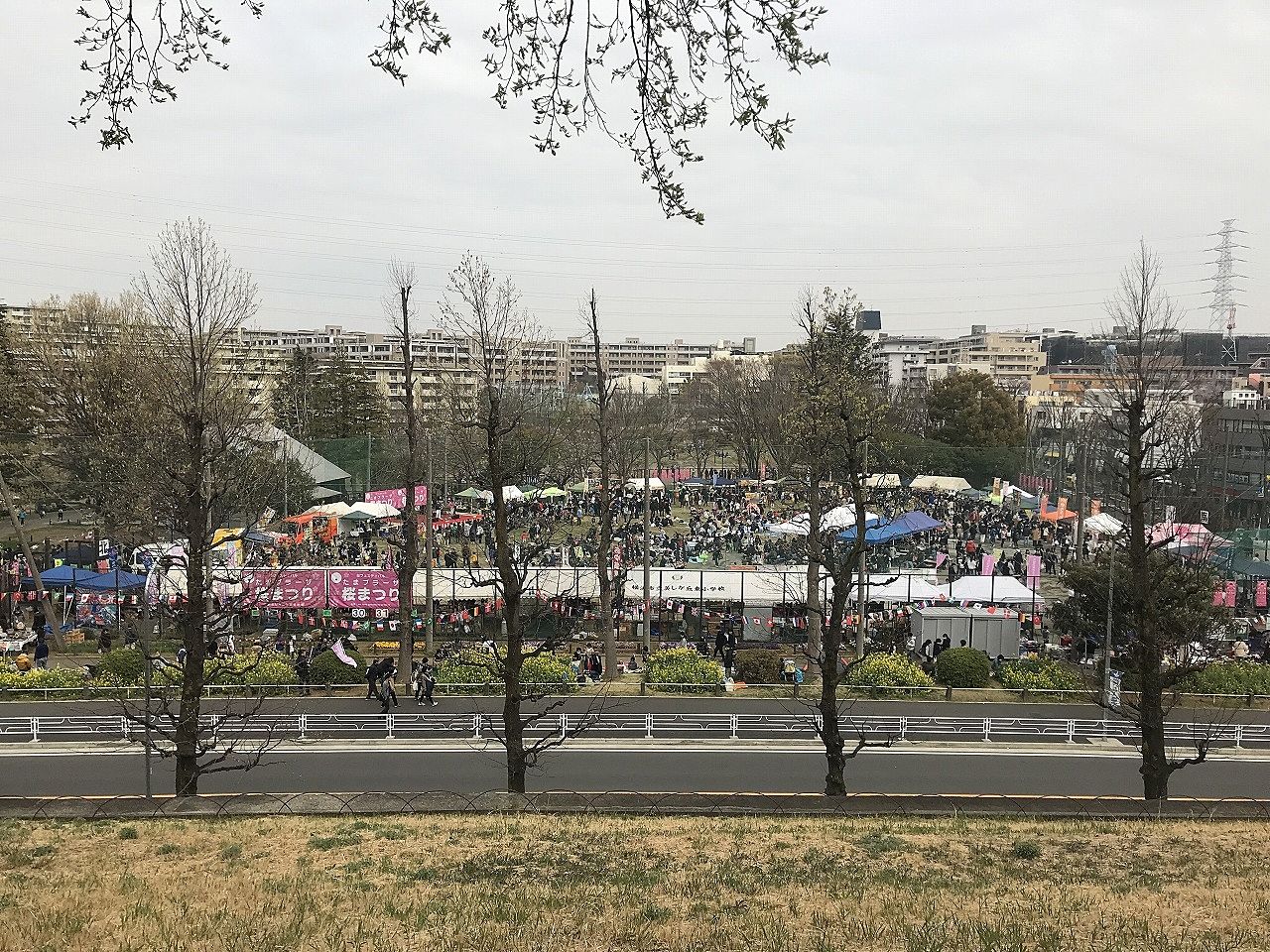 2019年たまプラーザ桜まつり（たまプラーザ桜フェスティバル）
