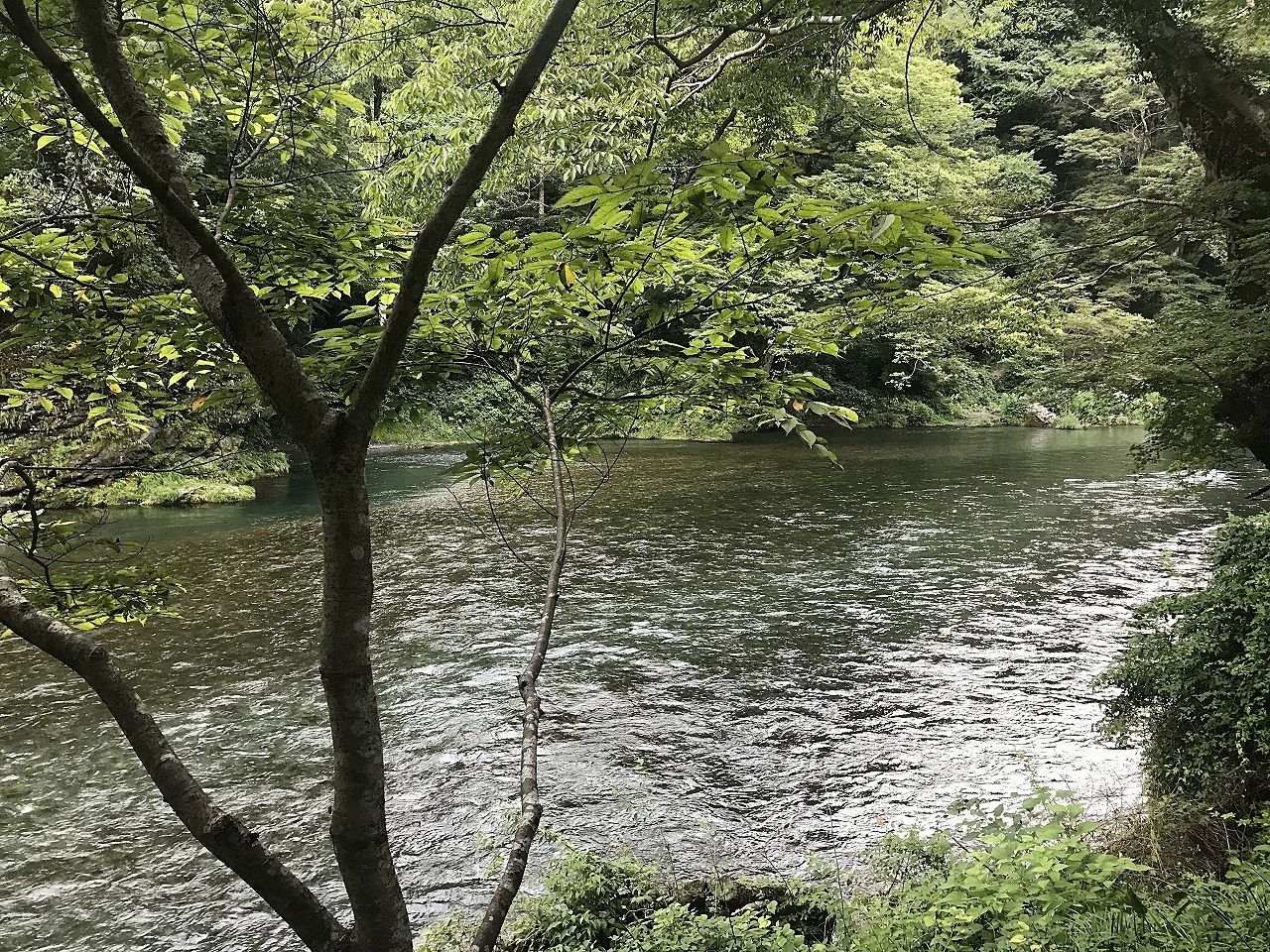澤乃井の清流ガーデンのつり橋から見た多摩川