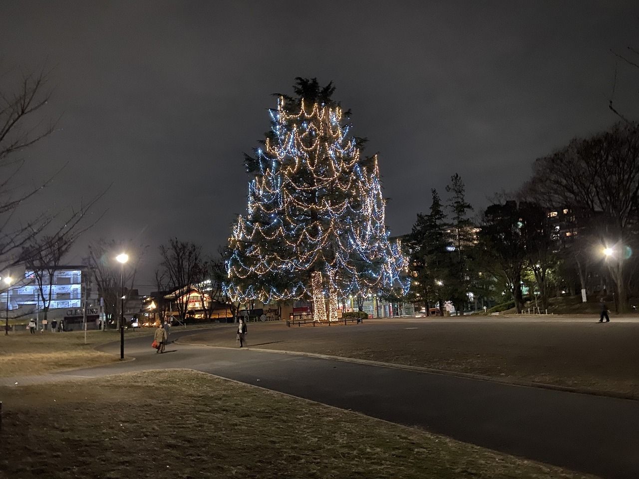 2019年の美しが丘公園のクリスマスツリー