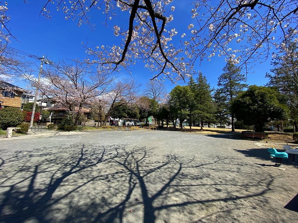 2020年3/24(火)たまプラーザの新石川日向公園の桜の様子です。