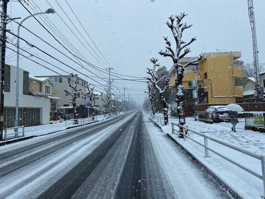 3/29付のたまプラーザ・美しが丘３丁目・4丁目の雪の様子。
