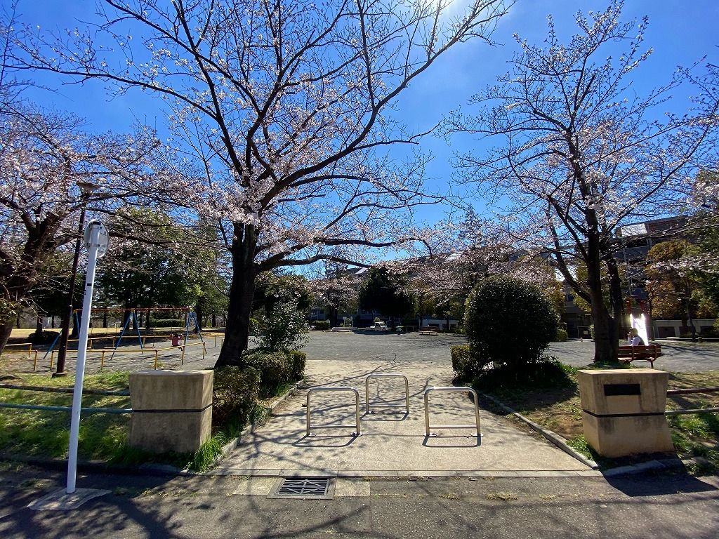 2020年3/24(火)たまプラーザの新石川日向公園の桜の様子です。