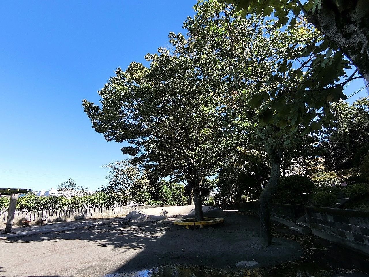 ドーナツ公園・たまプラーザ団地（敷地内）の砂場は敷地の奥のほうにあります。