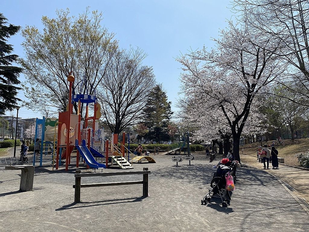 たまプラーザの美しが丘公園の2021年3月26日（金）の桜の様子です。