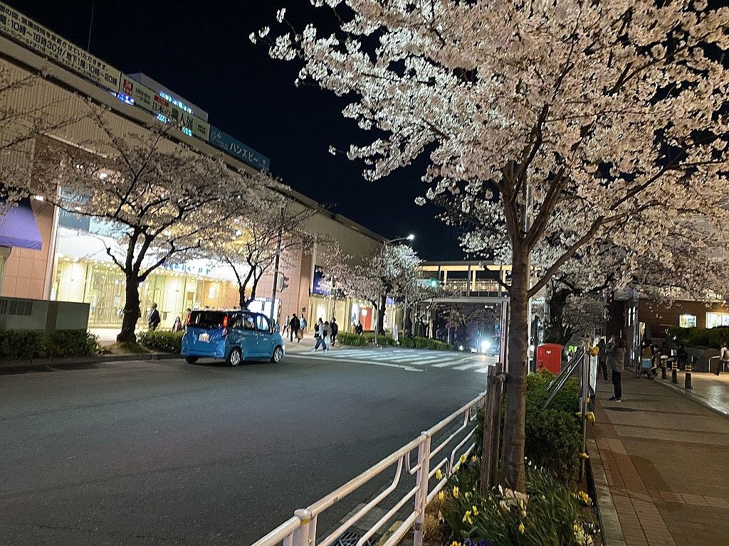 2021年3月26日（金）たまプラーザ駅前の夜の桜の様子です。