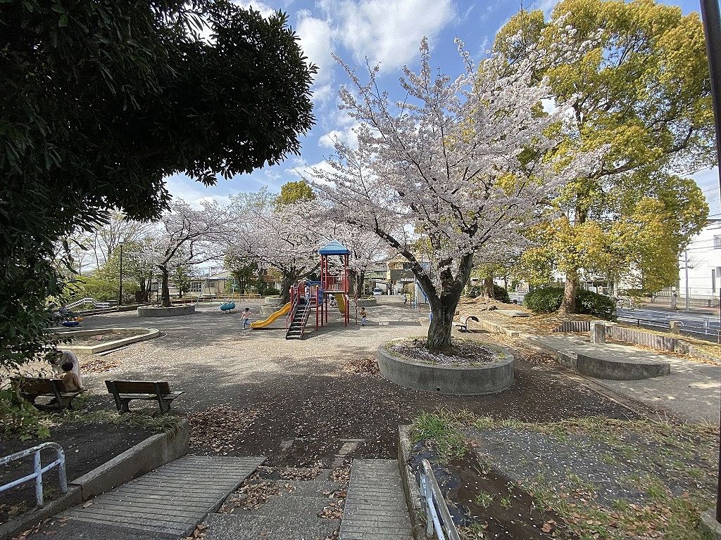山内公園の桜