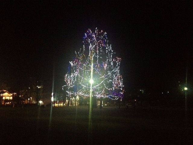 美しが丘公園のクリスマスツリー　２０１３年　たまプラーザ　クリスマス