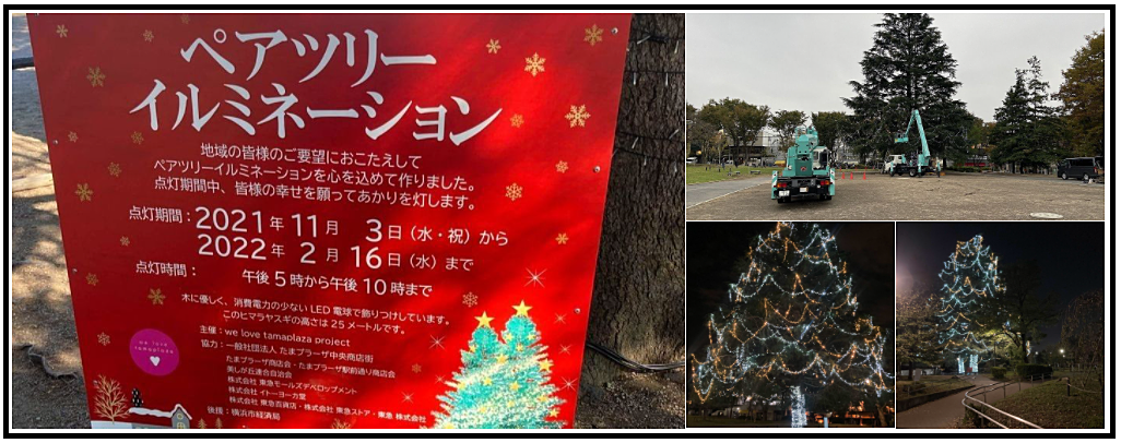 2021年10月27日：たまプラーザ・美しが丘公園のクリスマスツリー（ペアツリー）の飾り付け作業の様子です。