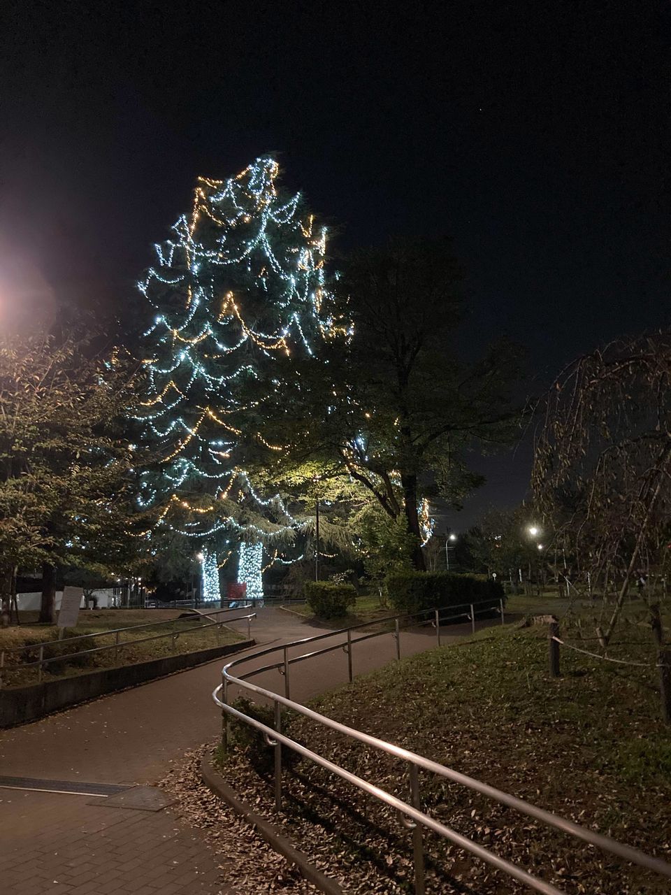 2021年たまプラーザ・美しが丘公園のクリスマスツリー（ペアツリー）