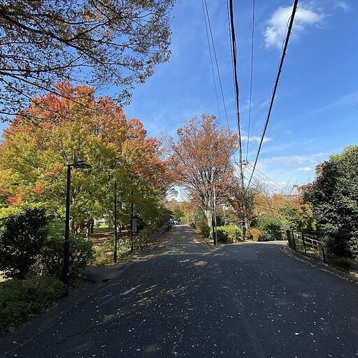 たまプラーザの身近な紅葉スポット 紅葉のたまプラーザ団地
