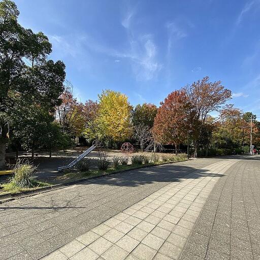 たまプラーザの身近な紅葉スポット 紅葉のたまプラーザ団地