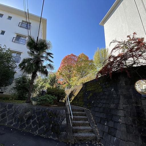 身近な紅葉スポットのたまプラーザ団地