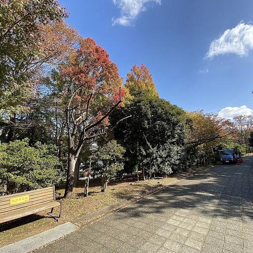 たまプラーザの身近な紅葉スポット 紅葉のたまプラーザ団地
