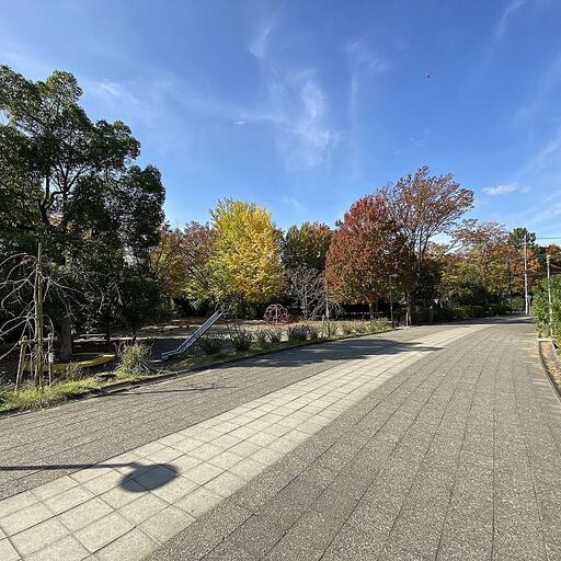 たまプラーザの身近な紅葉スポット 紅葉のたまプラーザ団地